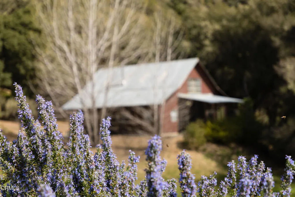 Additional image 135 of 17350 Deer Meadows Road, Boonville, CA 95415