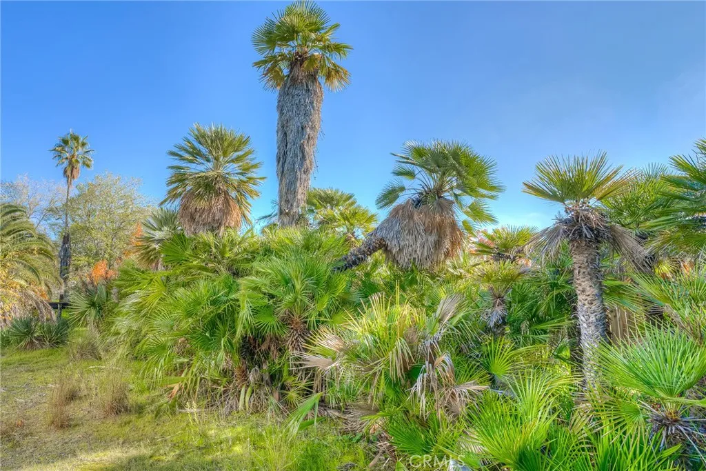 Additional image 33 of 3570 Olive Highway, Oroville, CA 95966