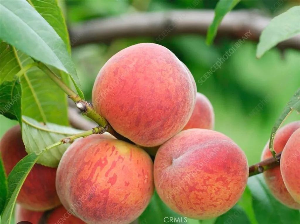 Additional image 55 of 1441 Paso Real Avenue Unit 300, Rowland Heights, CA 91748