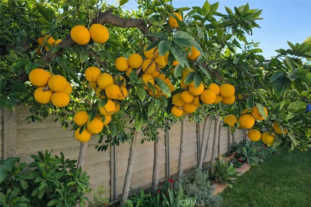 Additional image 55 of 16264 Kalisher Street, Granada Hills, CA 91344