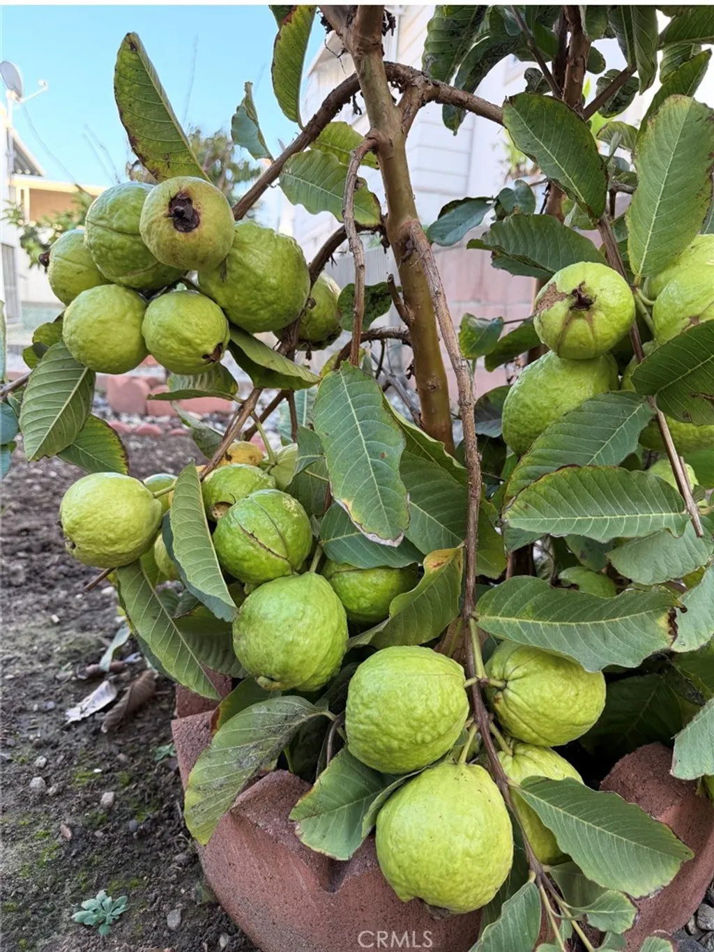 Additional image 29 of 1441 Paso Real Avenue Unit 300, Rowland Heights, CA 91748