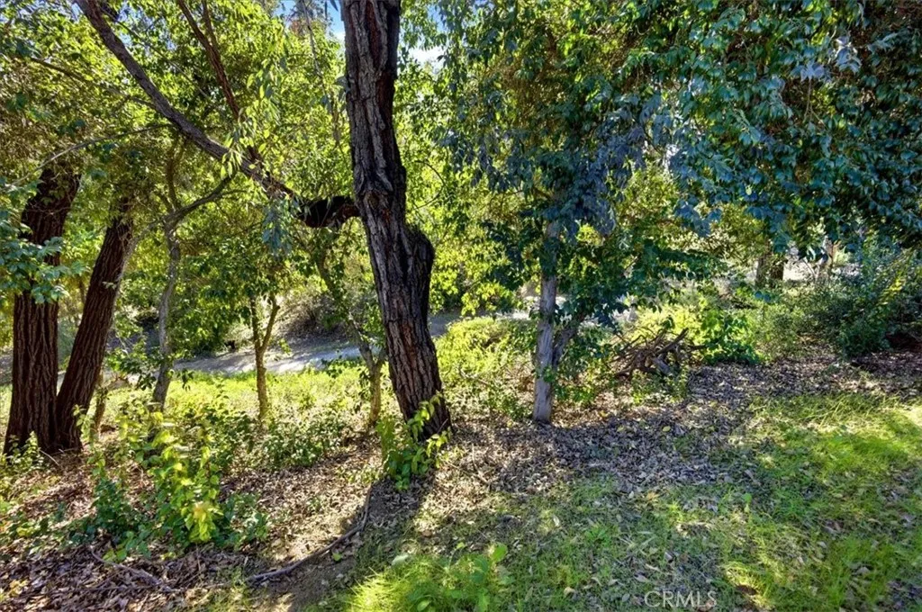 Additional image 60 of 24599 Calle San Vicente, Murrieta, CA 92562