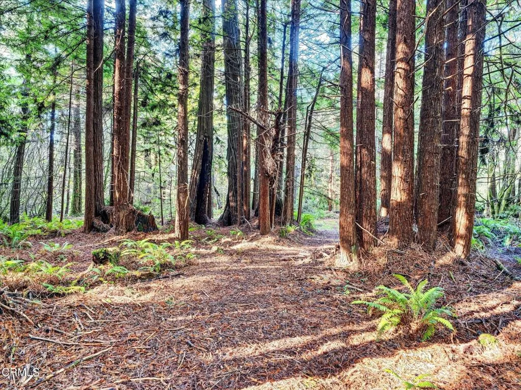 Additional image 81 of 19400 Dorffi Road, Fort Bragg, CA 95437