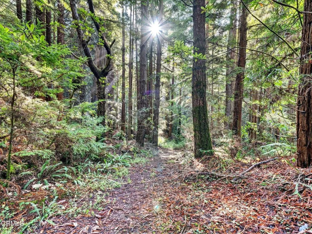 Additional image 33 of 19400 Dorffi Road, Fort Bragg, CA 95437