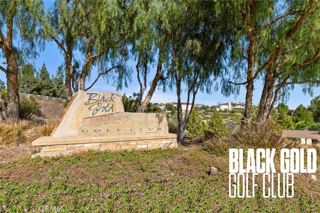 Additional image 43 of 1952 Avenida Del Sol, Placentia, CA 92870