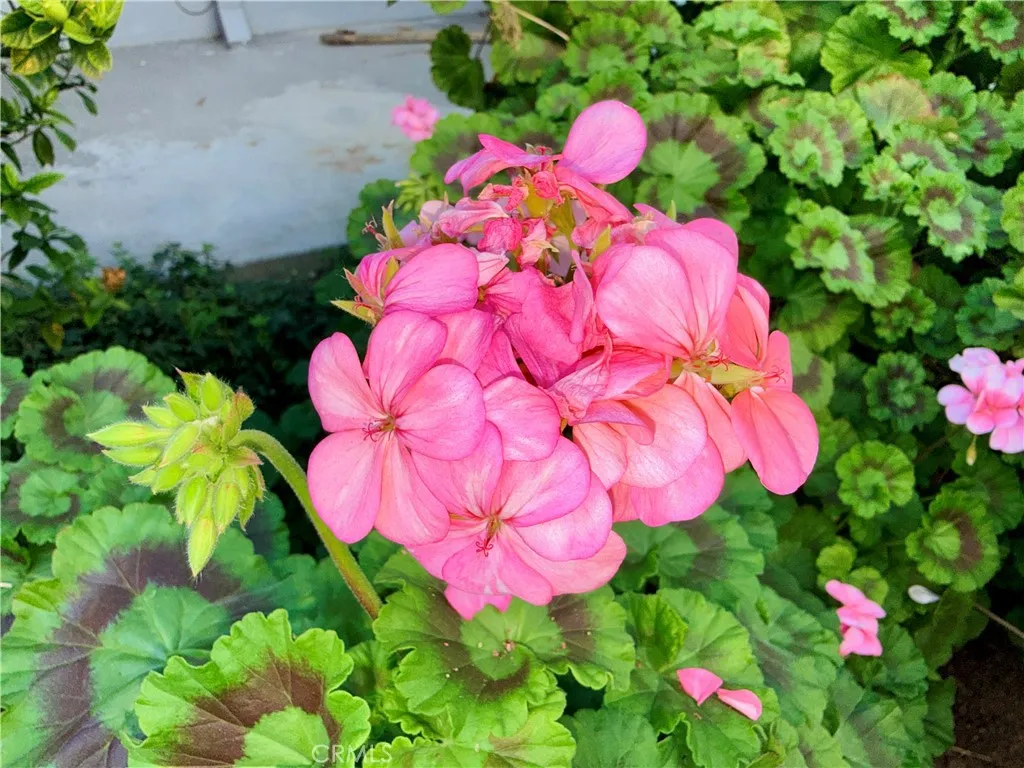 Additional image 33 of 20930 Parthenia Street Unit 216, Canoga Park, CA 91304