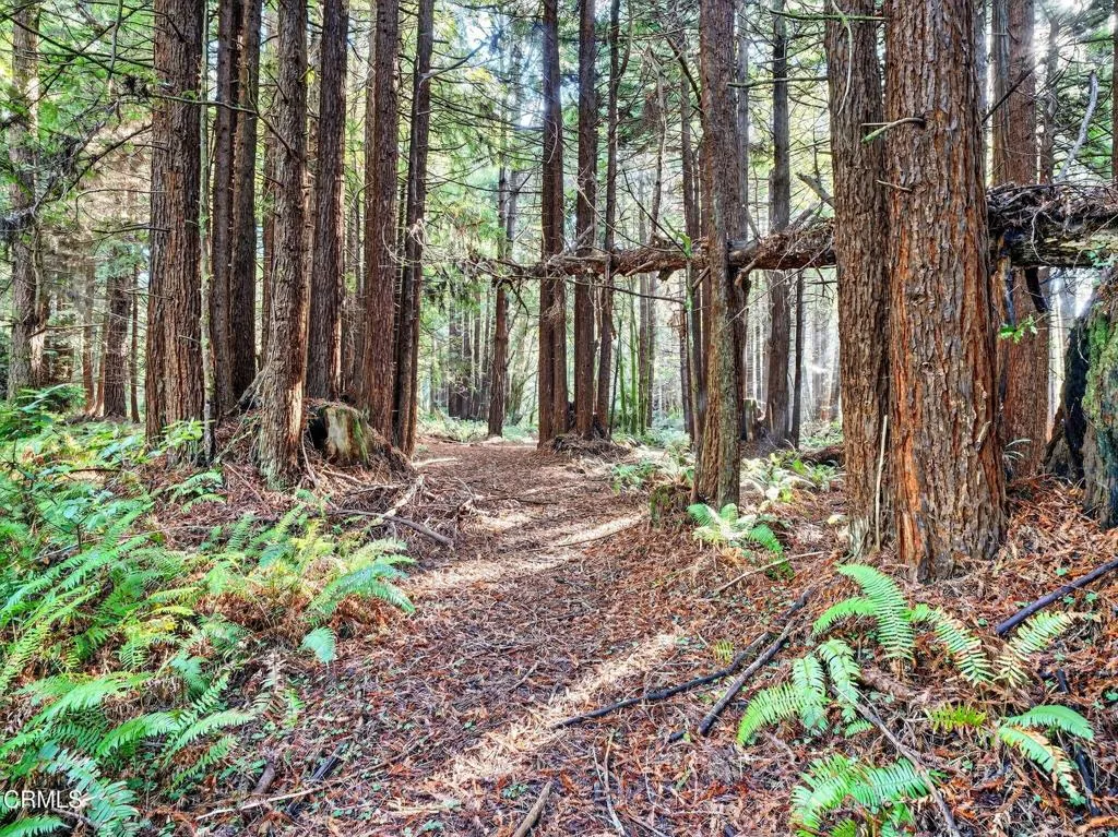 Additional image 34 of 19400 Dorffi Road, Fort Bragg, CA 95437