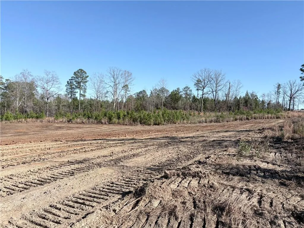 Additional image 17 of 210 Ridge Road, Seale, AL 36875