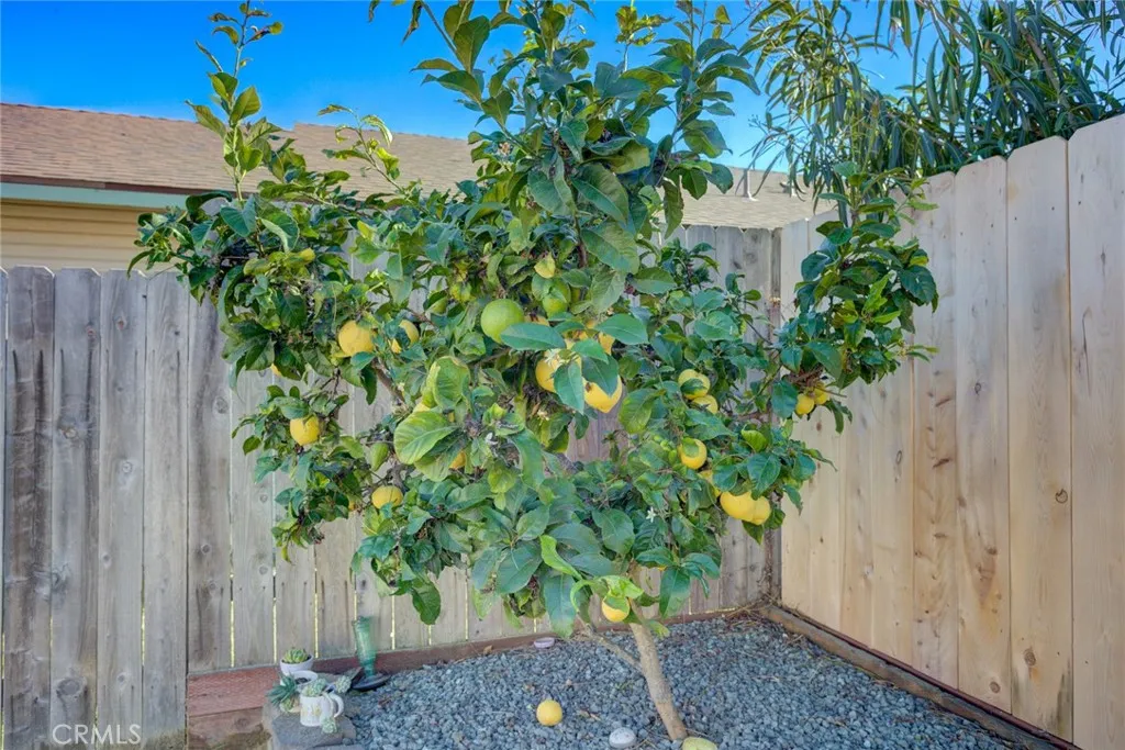 Additional image 50 of 1348 Avenida Pelicanos, Oceano, CA 93445