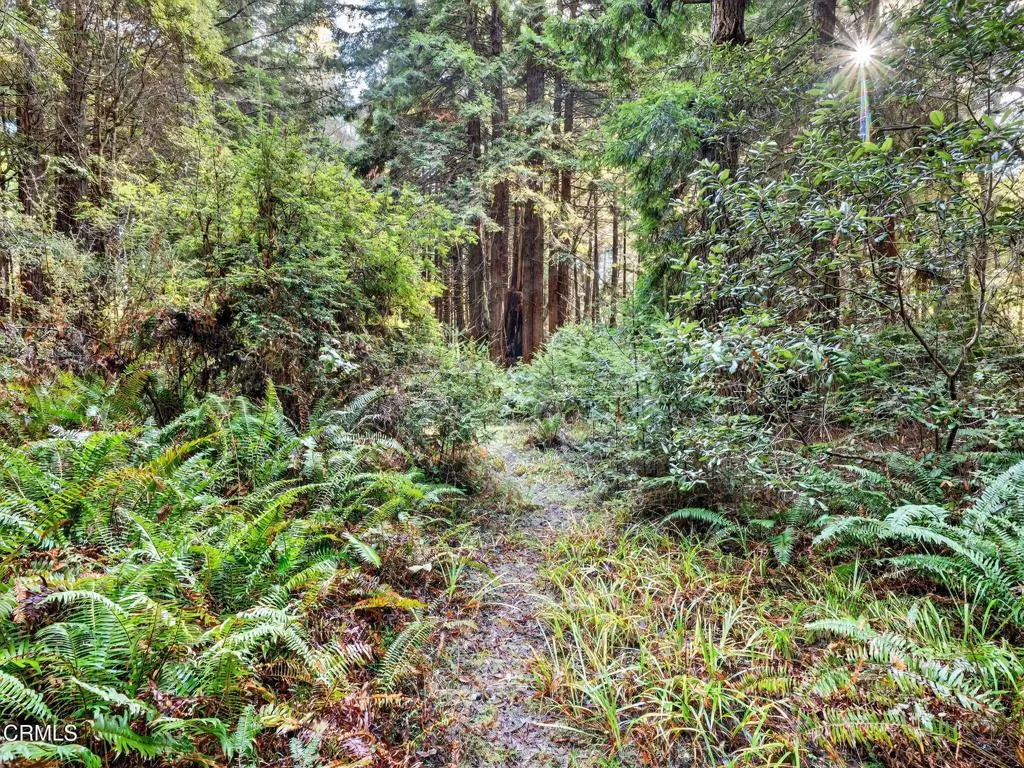 Additional image 37 of 19400 Dorffi Road, Fort Bragg, CA 95437