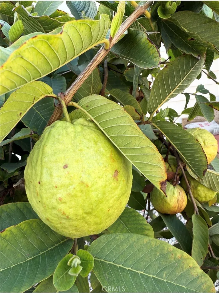 Additional image 56 of 1441 Paso Real Avenue Unit 300, Rowland Heights, CA 91748