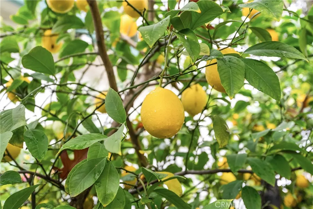 Additional image 97 of 342 Mission Serra Terrace, Chico, CA 95926