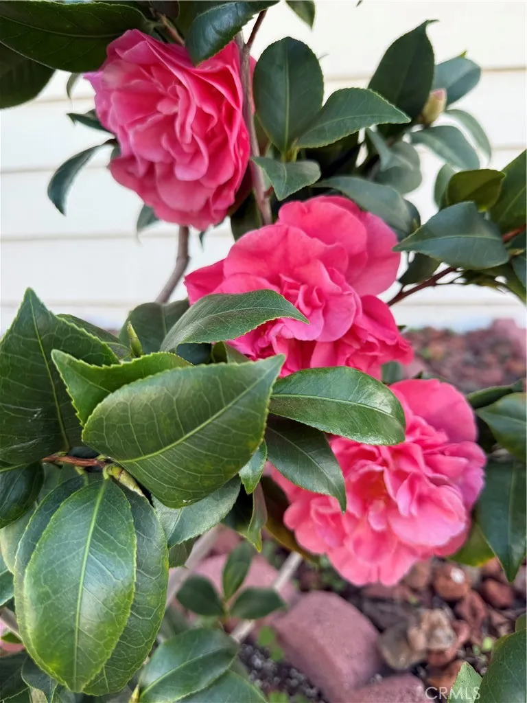 Additional image 58 of 1441 Paso Real Avenue Unit 300, Rowland Heights, CA 91748