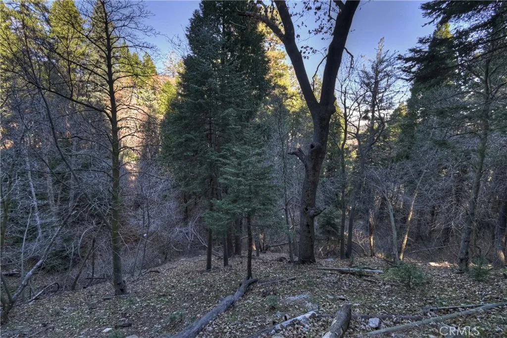 Additional image 64 of 687 Spring Dr., Cedarpines Park, CA 92322