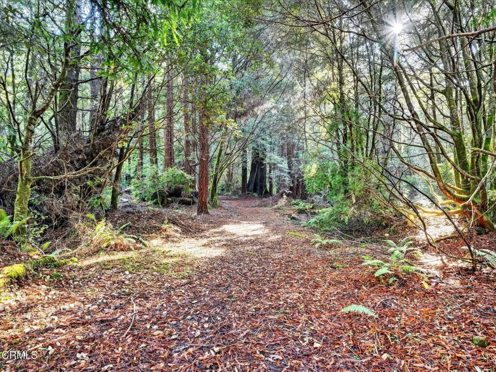 Additional image 86 of 19400 Dorffi Road, Fort Bragg, CA 95437