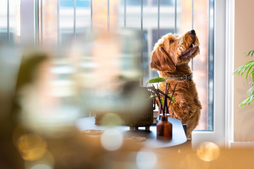 Additional image 7 of Flat 421, Hairpin House, 230 Bradford Street, Birmingham, B12