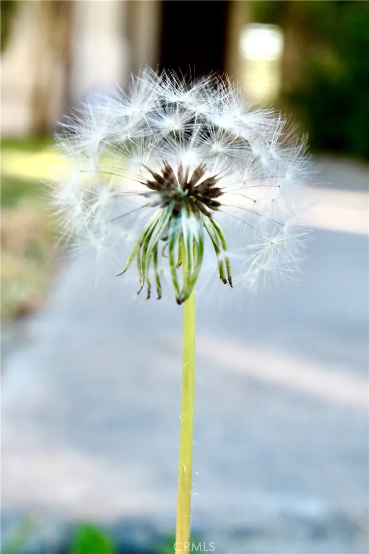 Additional image 55 of 79927 Viento Dr, La Quinta, CA 92253