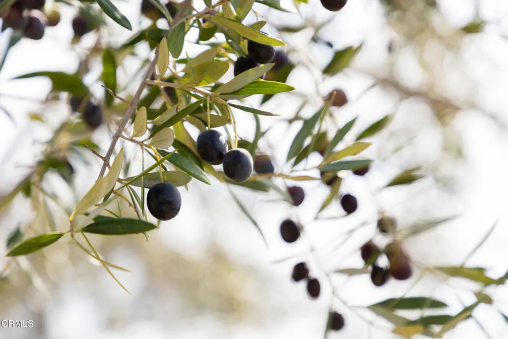 Additional image 67 of 17350 Deer Meadows Road, Boonville, CA 95415