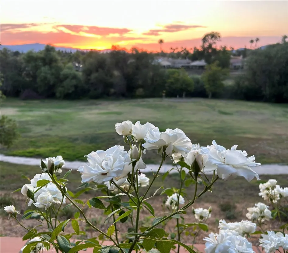 Additional image 64 of 40581 Via Amapola, Murrieta, CA 92562