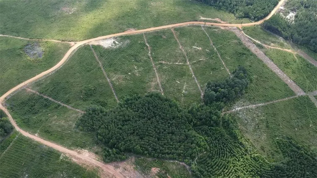 Additional image 19 of 210 Ridge Road, Seale, AL 36875