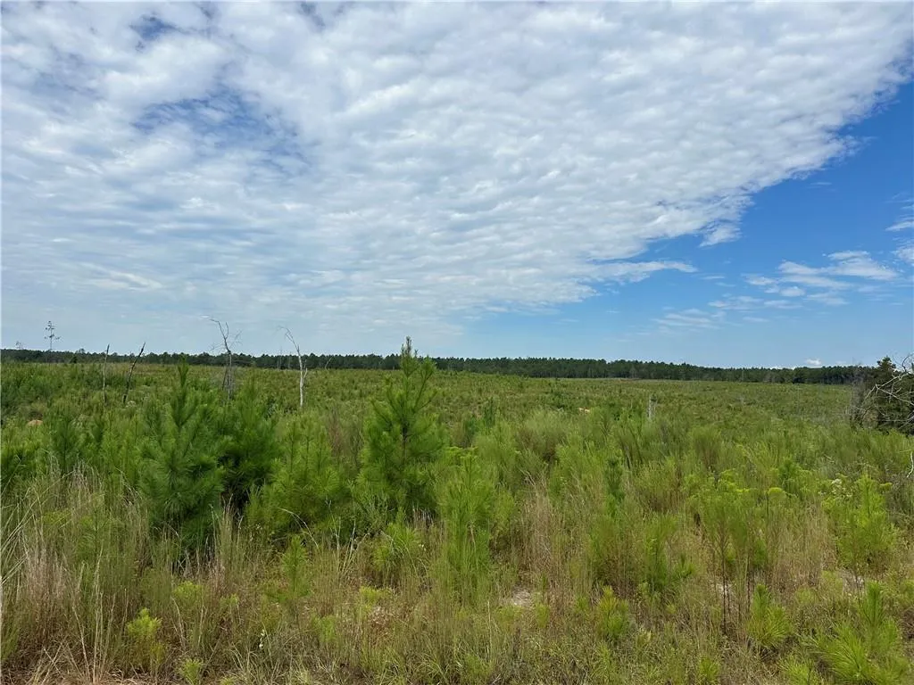 Additional image 22 of 210 Ridge Road, Seale, AL 36875