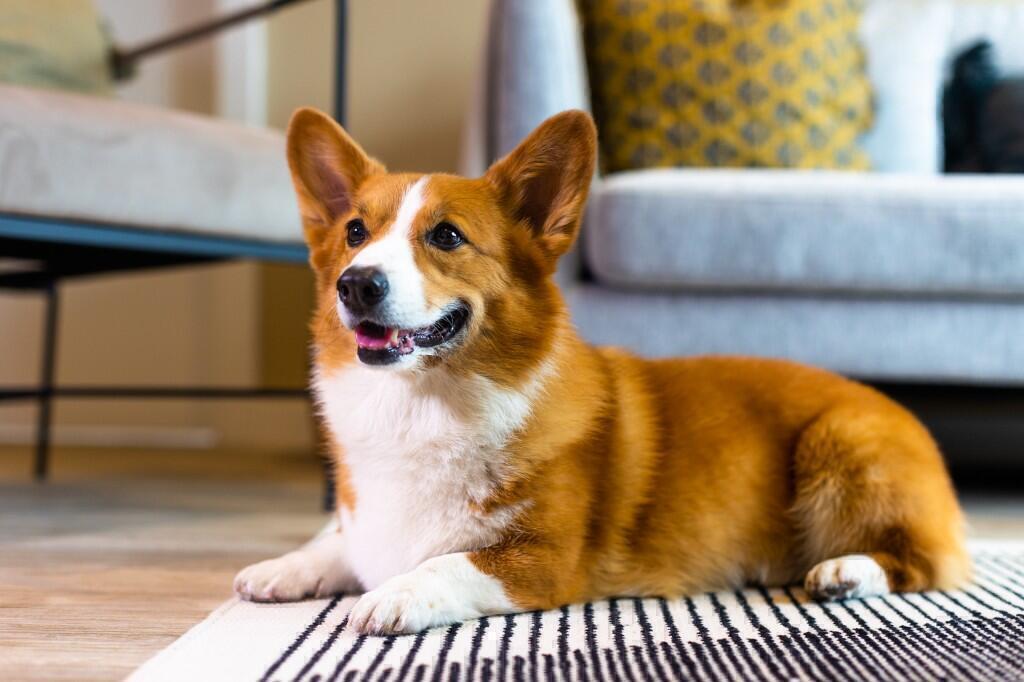 Additional image 13 of Flat 228, Hairpin House, 230 Bradford Street, Birmingham, B12