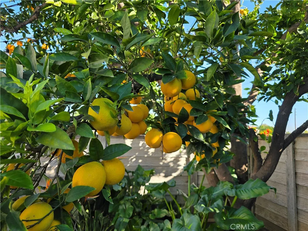 Additional image 23 of 16264 Kalisher Street, Granada Hills, CA 91344