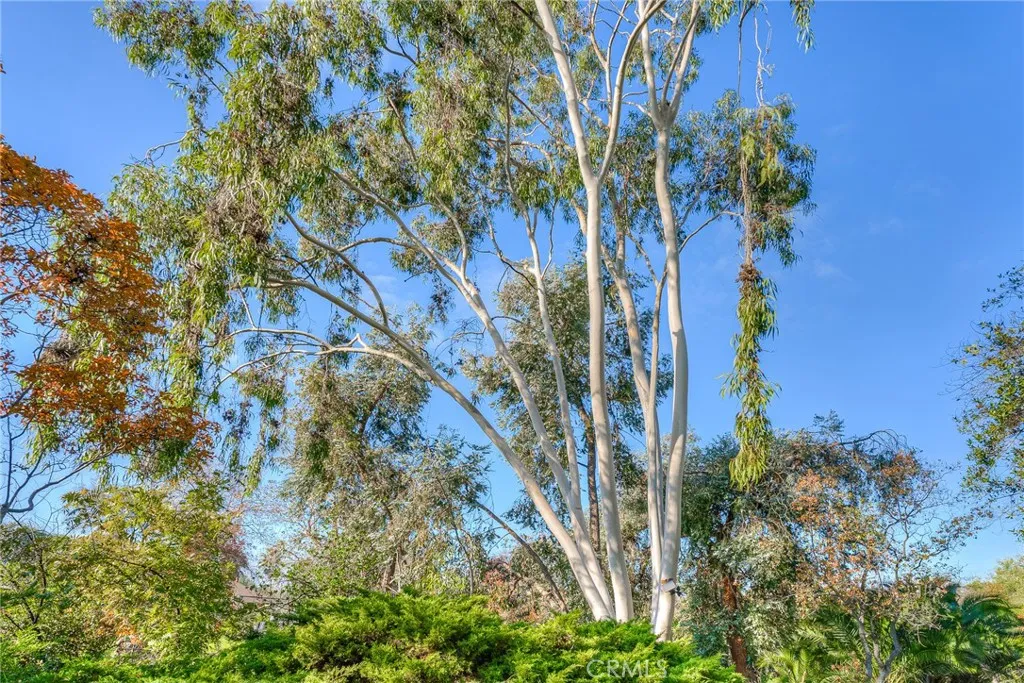 Additional image 84 of 3570 Olive Highway, Oroville, CA 95966