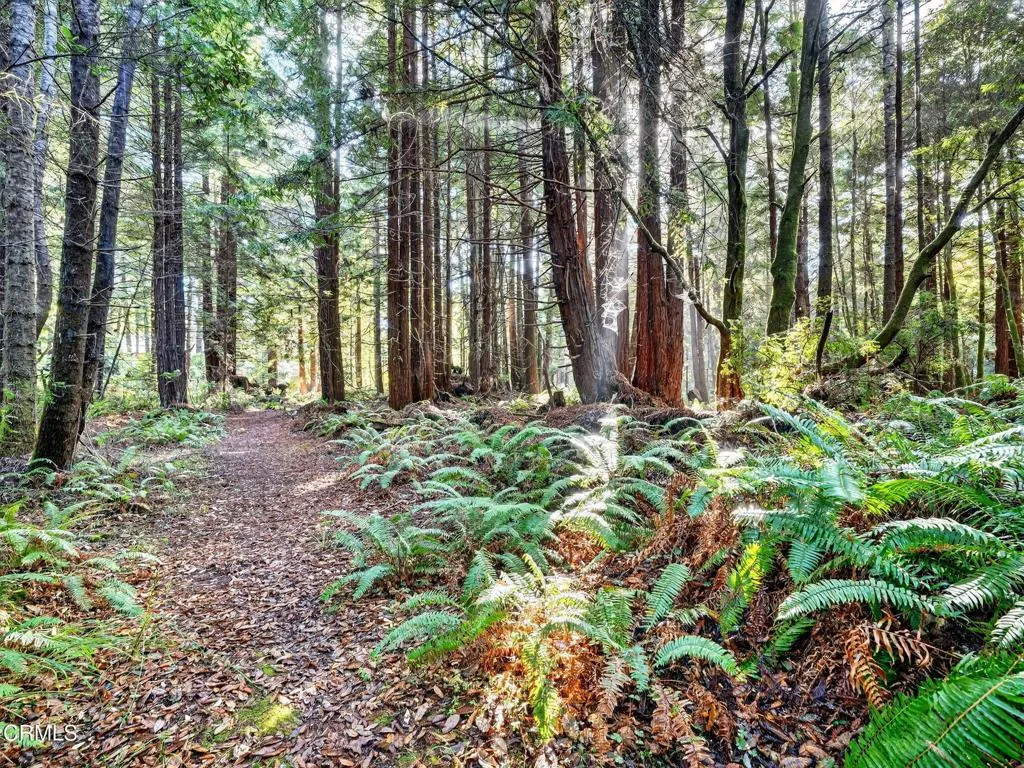 Additional image 84 of 19400 Dorffi Road, Fort Bragg, CA 95437