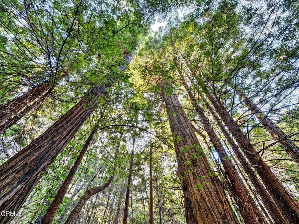 Additional image 90 of 19400 Dorffi Road, Fort Bragg, CA 95437