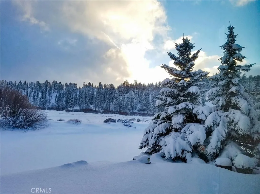 Additional image 88 of 39255 Seminole Dr, Fawnskin, CA 92333