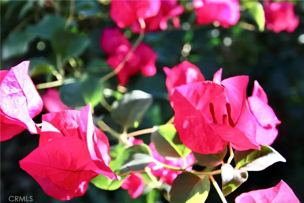 Additional image 53 of 79927 Viento Dr, La Quinta, CA 92253