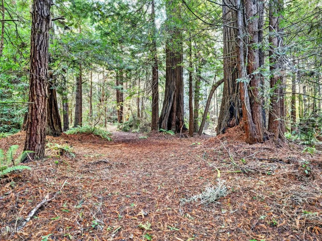 Additional image 41 of 19400 Dorffi Road, Fort Bragg, CA 95437