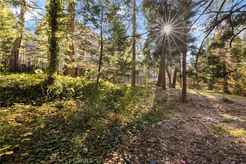 Additional image 120 of 53875 Dogwood Creek Dr, Bass Lake, CA 93604