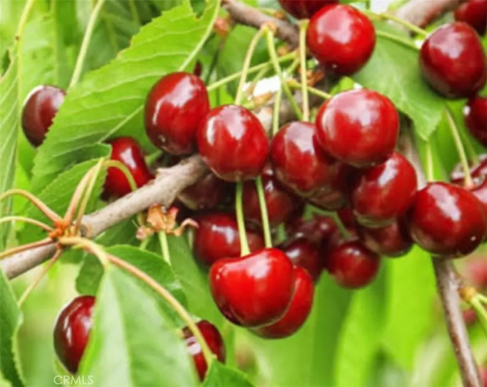 Additional image 54 of 1441 Paso Real Avenue Unit 300, Rowland Heights, CA 91748