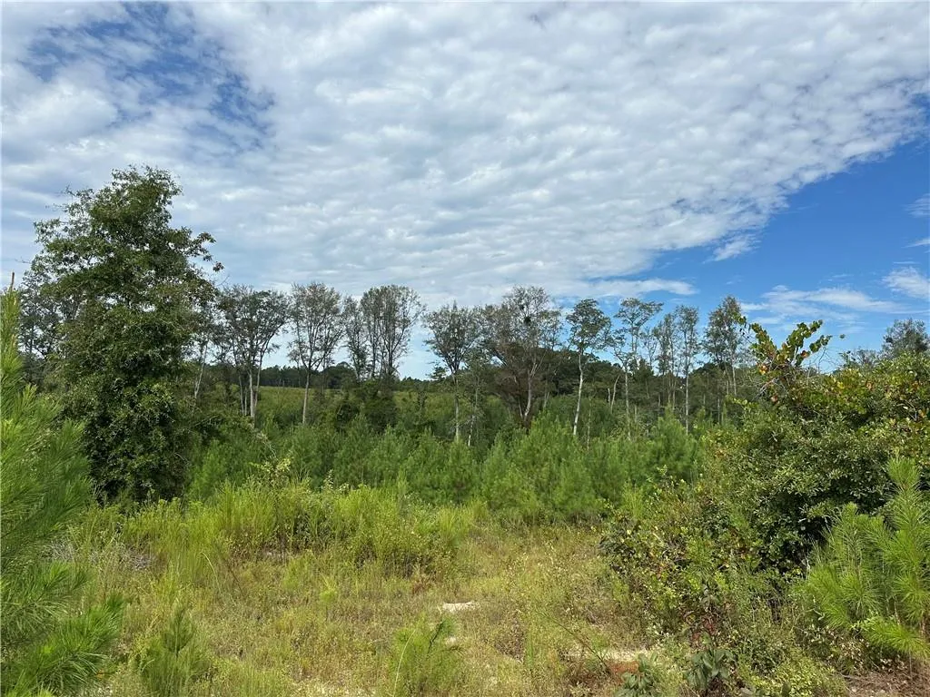 Additional image 12 of 210 Ridge Road, Seale, AL 36875