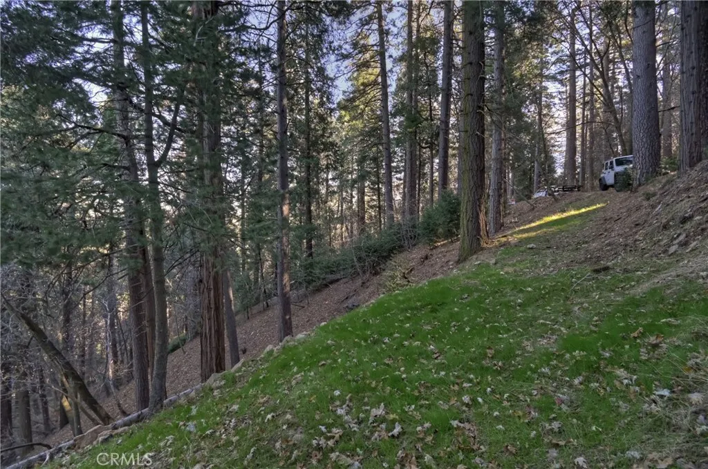 Additional image 32 of 687 Spring Dr., Cedarpines Park, CA 92322