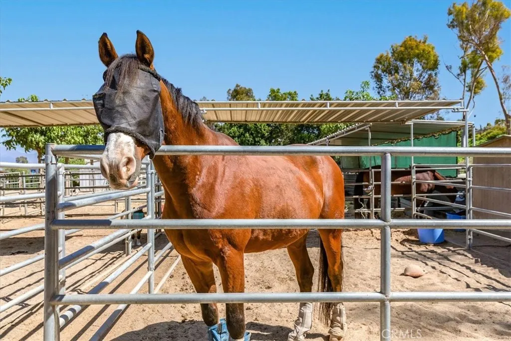 Additional image 78 of 700 Avenida Sevilla Unit Q, Laguna Woods, CA 92637
