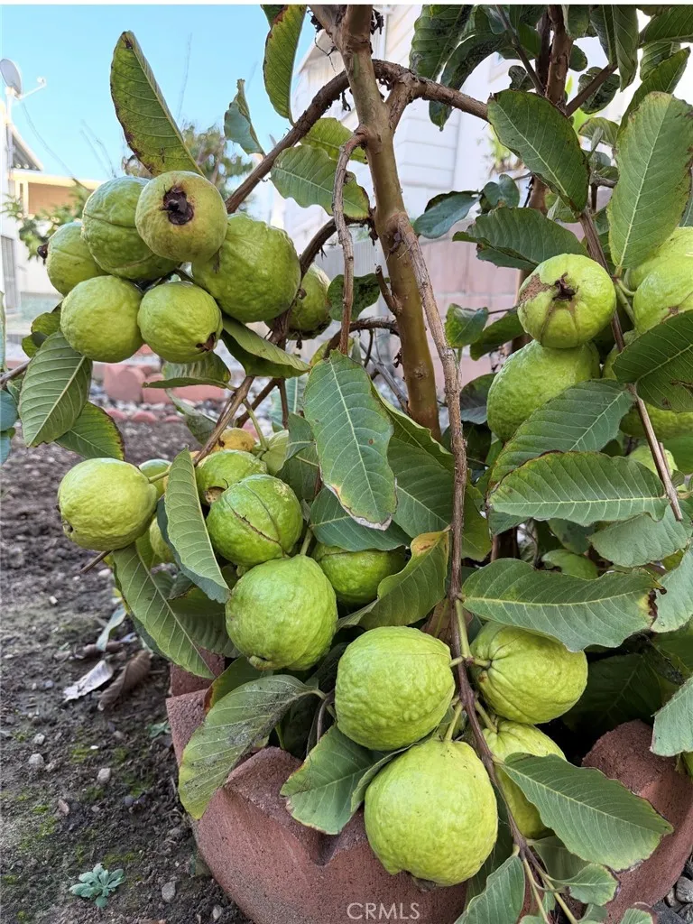 Additional image 57 of 1441 Paso Real Avenue Unit 300, Rowland Heights, CA 91748