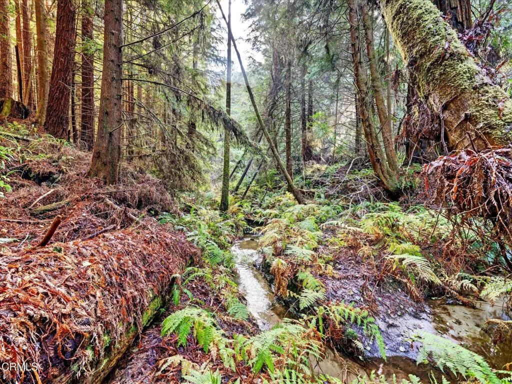 Additional image 50 of 19400 Dorffi Road, Fort Bragg, CA 95437