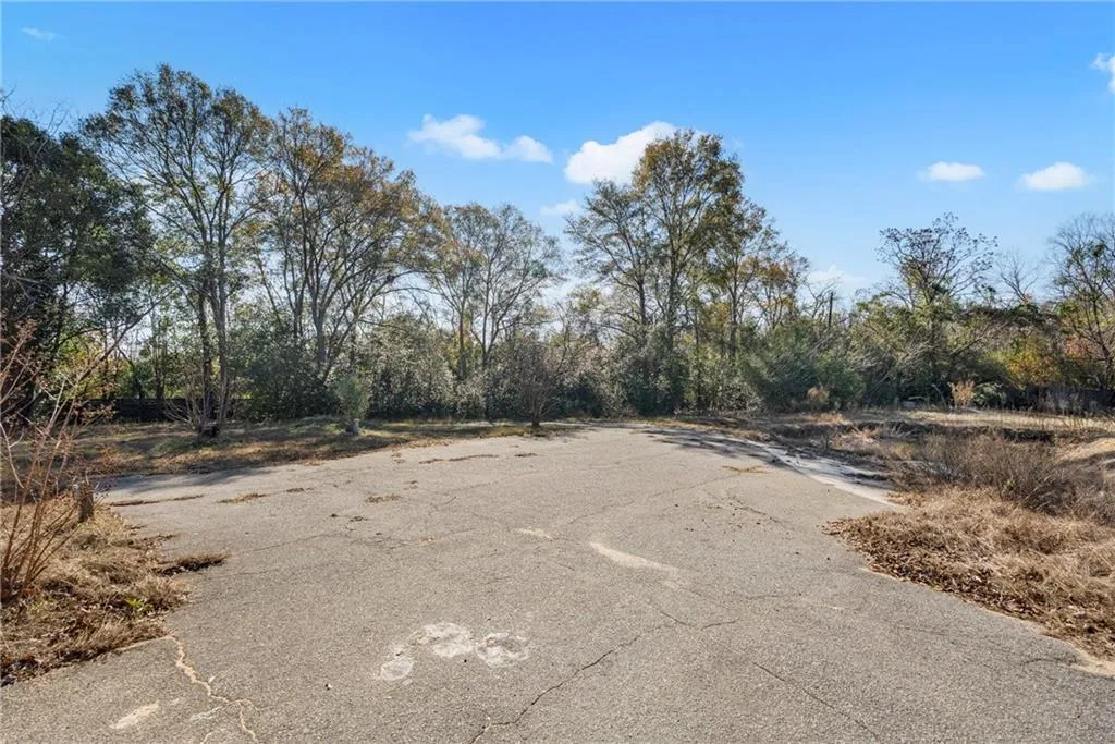 Additional image 5 of 294 Lee Road 379, Smiths Station, AL 36877