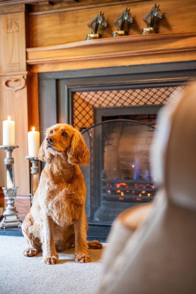 Additional image 8 of Peel Road, Thorntonhall