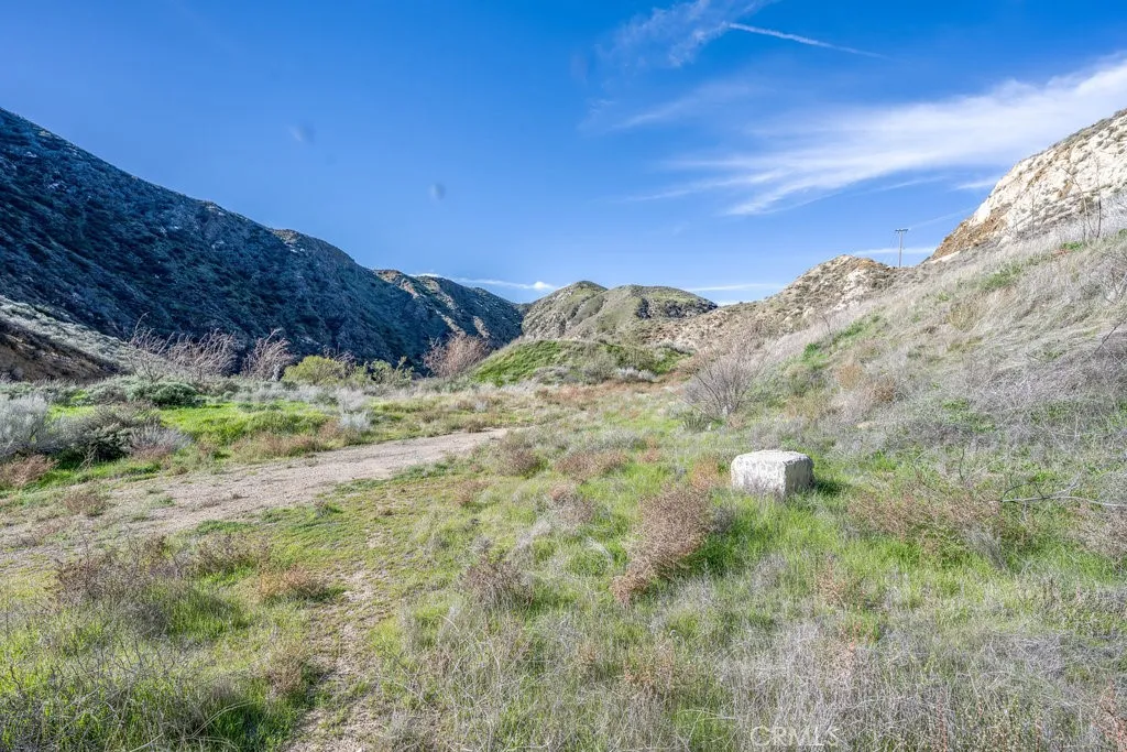 Additional image 50 of 12571 Capra Rd, Agua Dulce, CA 91390
