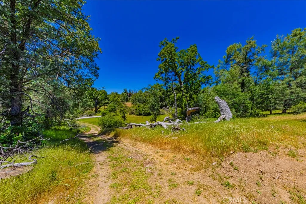 Additional image 105 of 47457 Road 620, Oakhurst, CA 93644