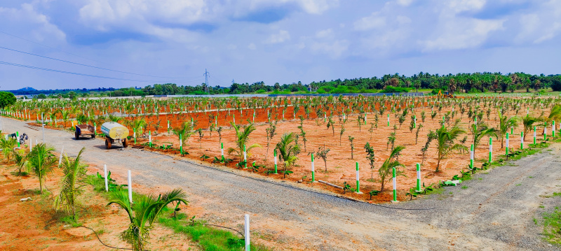 Additional image 2 of Marakkanam, Chennai