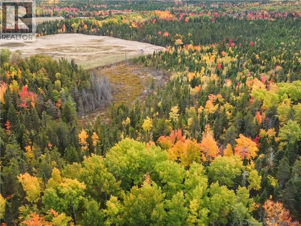 Property image for 867 Pine Glen Road|Riverview, New Brunswick E1J1R7