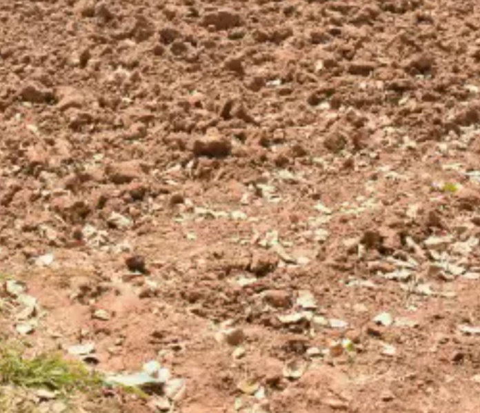 Additional image 3 of Ayyankottai, Madurai