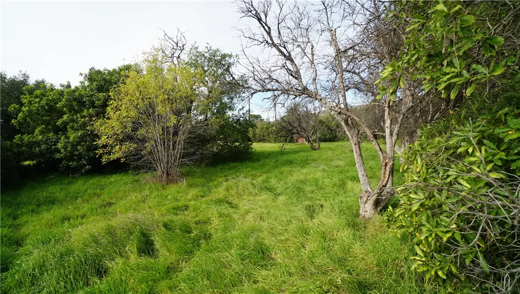 Additional image 34 of 13750 Fenton, Sylmar, CA 91342