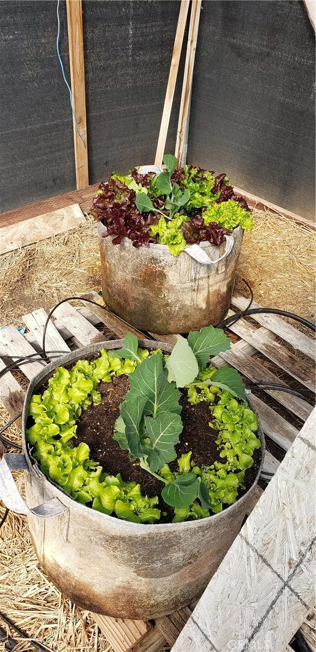 Additional image 123 of 57745 Bailey Rd, Anza, CA 92539