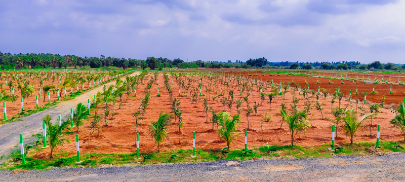 Additional image 3 of Marakkanam, Chennai